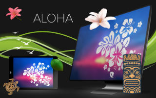 aloha-slot