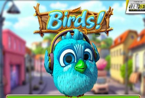 Birds!