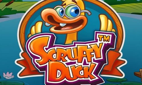 Scruffy Duck