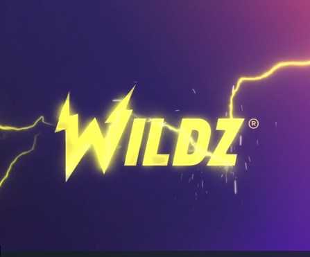 Wildz Casino logo